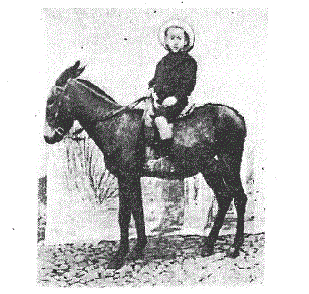 Primeira montada do “Califa” era um burro dado a coices