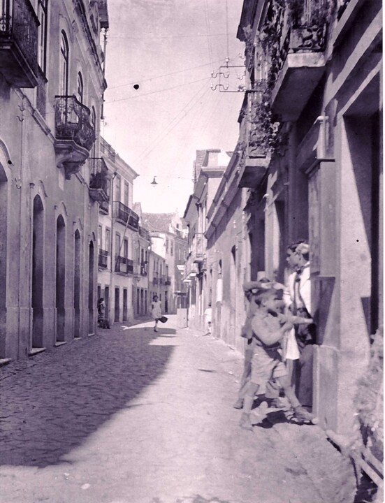 Os Telles Antunes: de comerciantes republicanos a&nbsp;cientistas