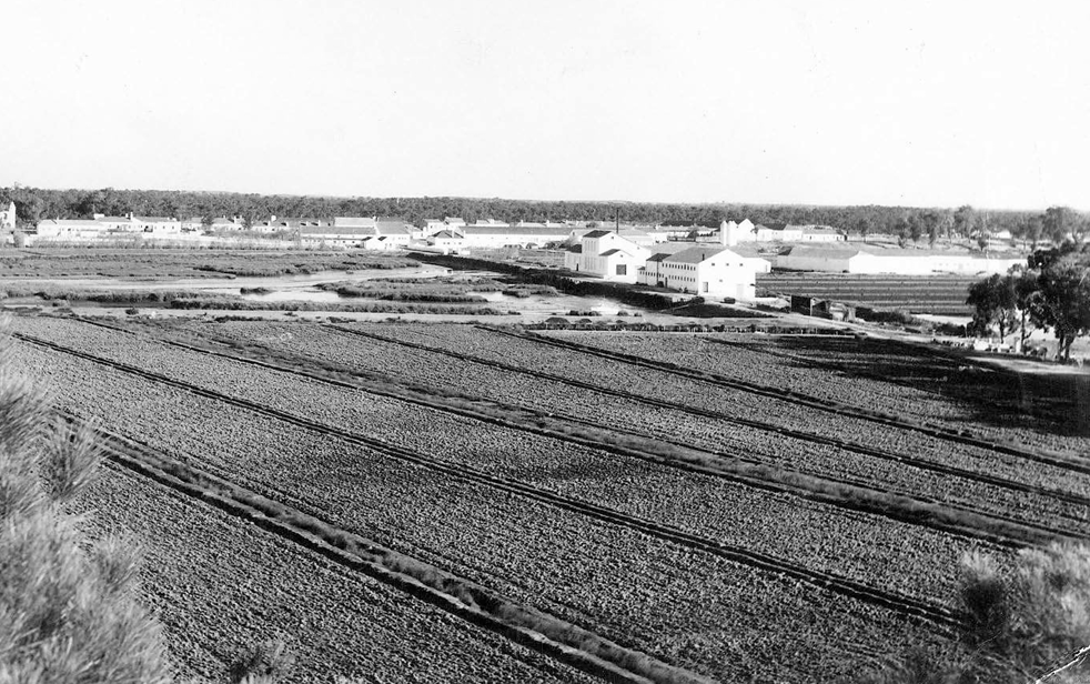 Os Espírito Santo que nasceram no&nbsp;Alentejo