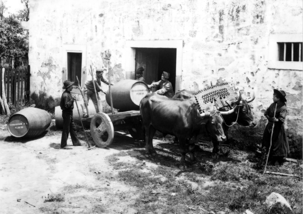 Crónica policial (7) – O importante é a&nbsp;aguardente